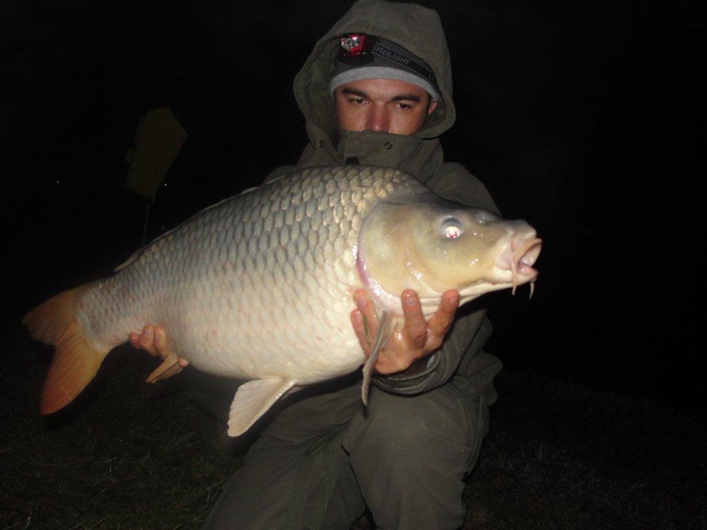 Moara Vlasiei 2 10 - 11 nov.